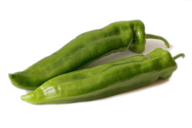 poivrons longs verts (colis 5kg)