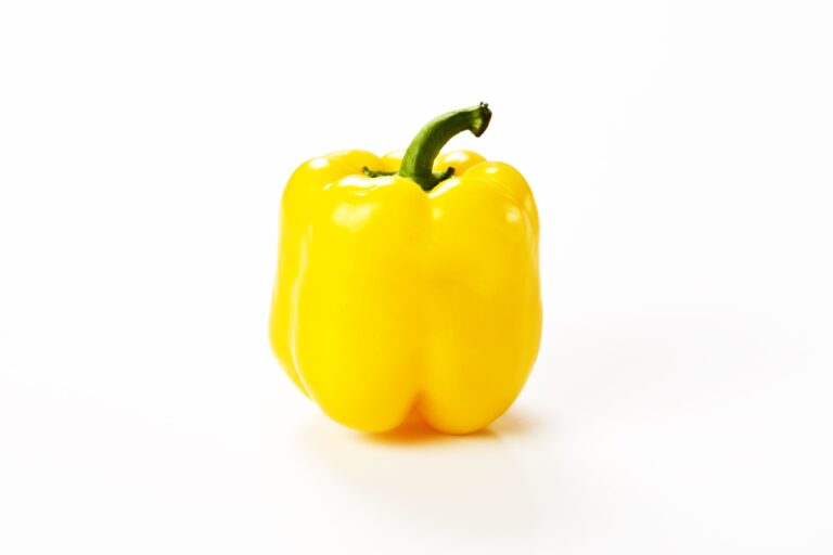 poivrons carrés jaunes (colis 5kg)