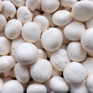 champignons blancs (cagette 3kg)