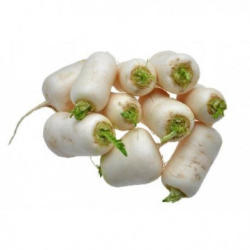 navet marteau (cagette 5kg)