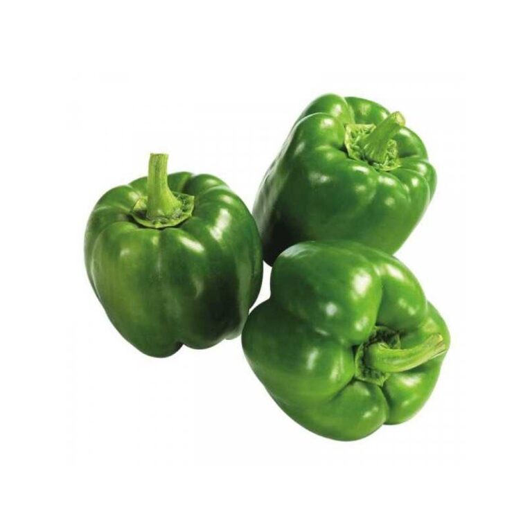 poivrons carrés verts (colis 5kg)
