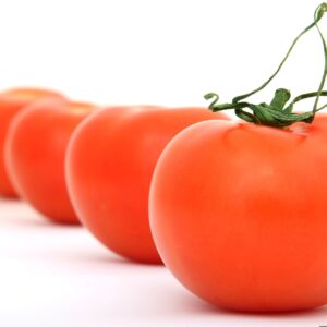 tomates rondes (colis 6kg)