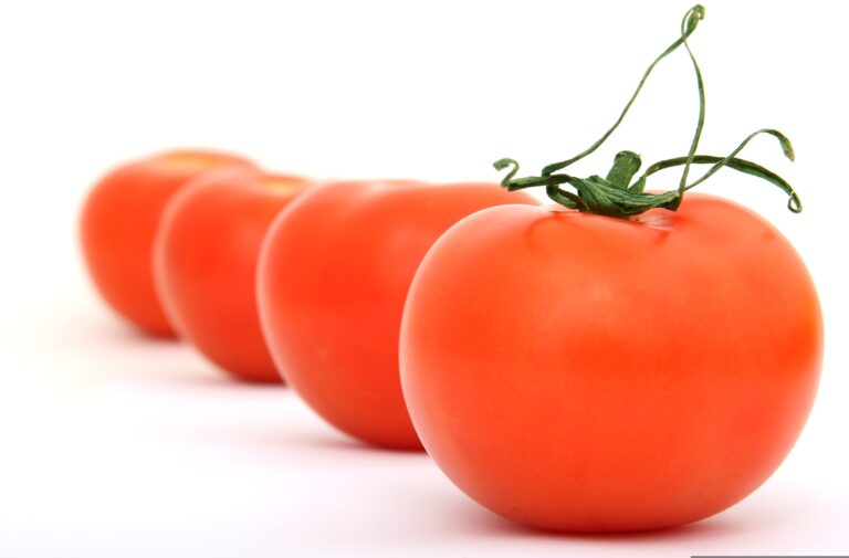 tomates rondes (colis 6kg)