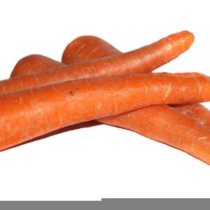 carottes (sac 10kg)