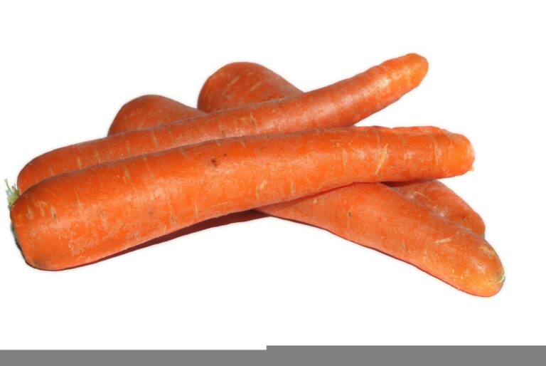 carottes (sac 10kg)